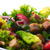 Salat mit Hähnchen-Fleisch, Tomaten, Zwiebeln